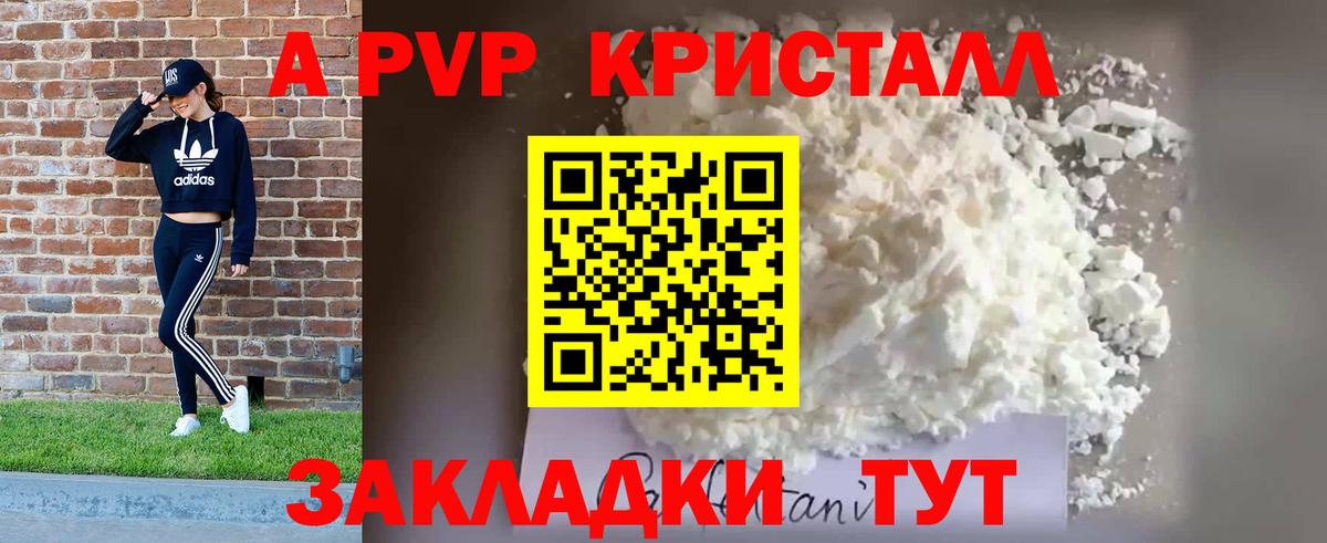 Alfa_PVP СК КРИС Нальчик