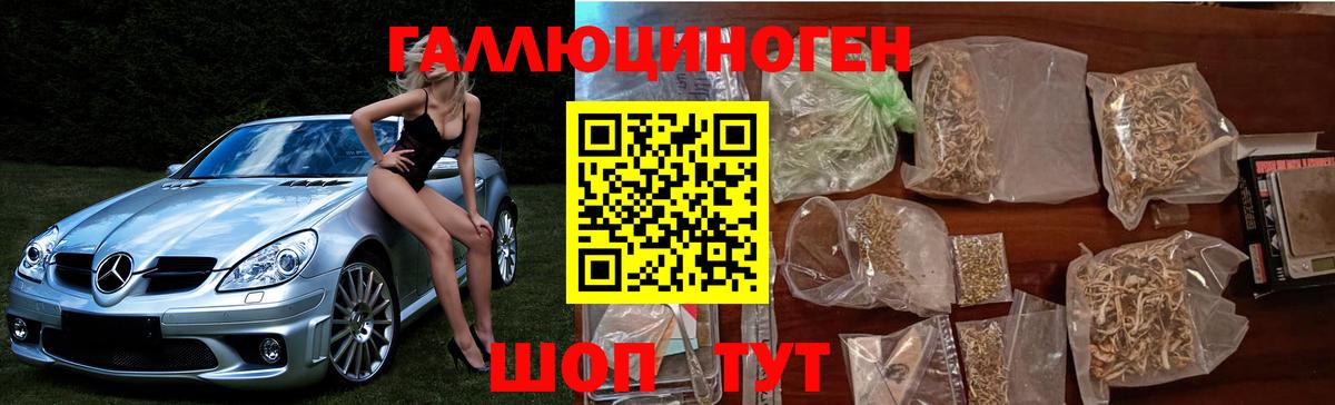 Галлюциногенные грибы Magic Shrooms Нальчик
