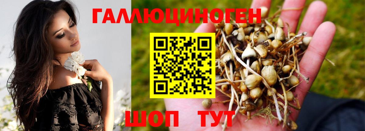 МАРИХУАНА  ГАШ  Вход с VPN  КОКАИН  Нальчик  Меф  
